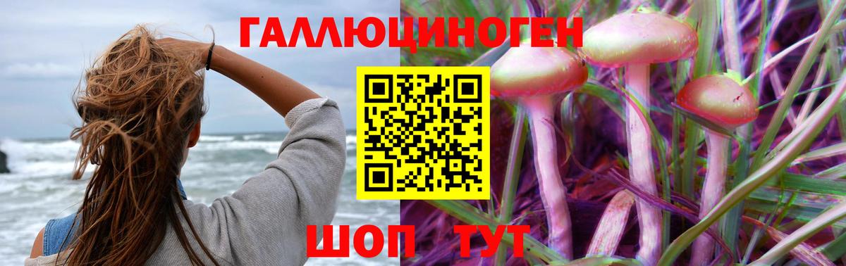 Псилоцибиновые грибы GOLDEN TEACHER Ишимбай