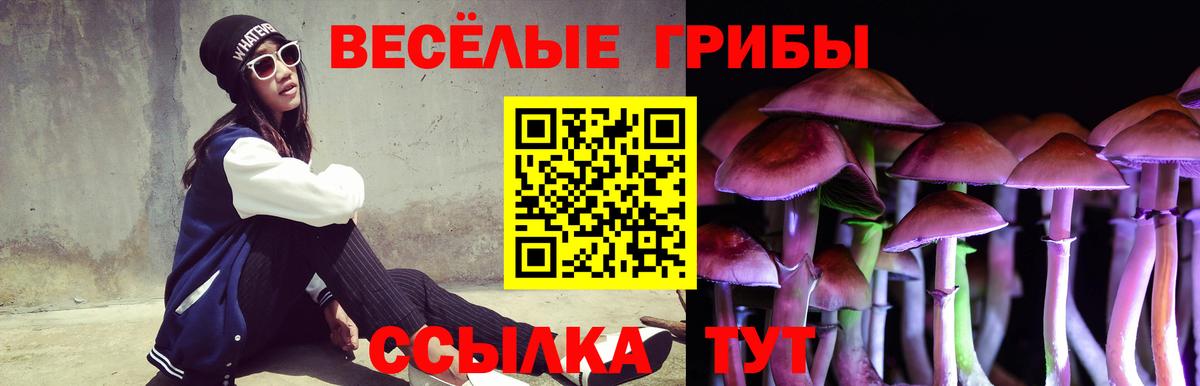 Ишимбай  Галлюциногенные грибы GOLDEN TEACHER  Вход с VPN  Галлюциногенные грибы Psilocybine cubensis 